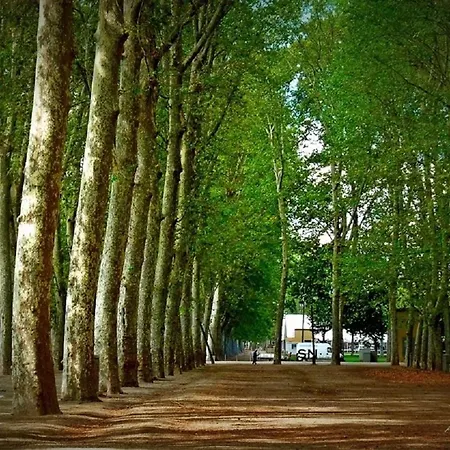 Acogedor Centro Apartment